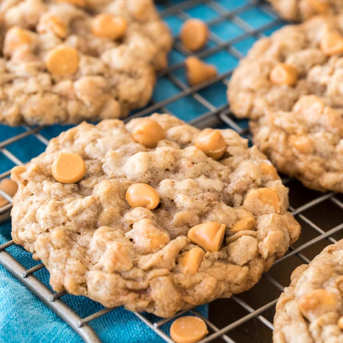 Oatmeal Scotchie